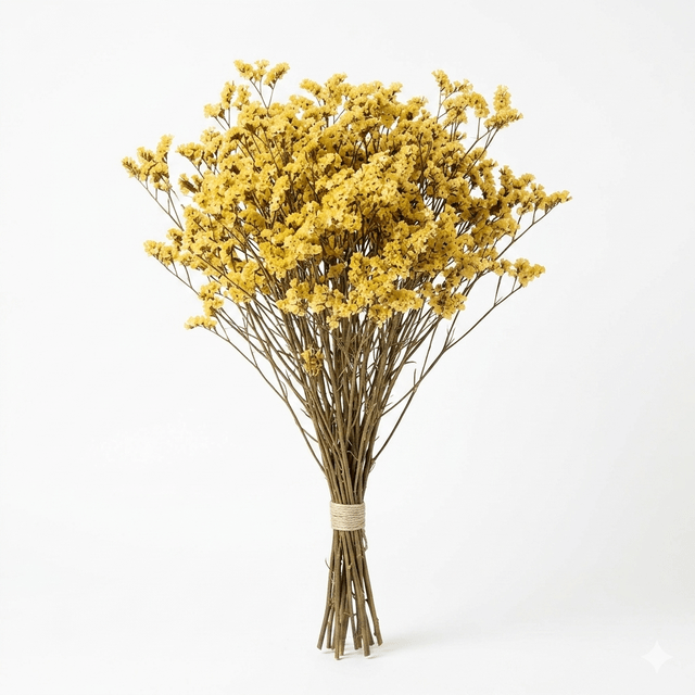 Preserved Crystal Grass (Limonium Caspia) Soft Yellow - CocoBam