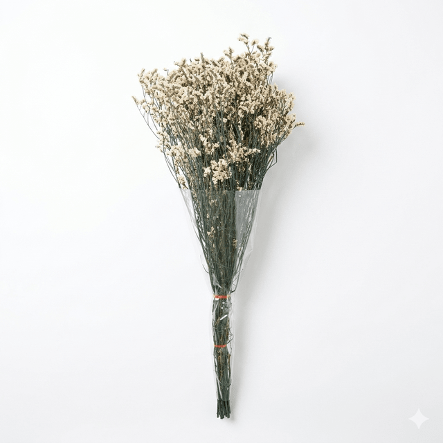 Preserved Crystal Grass (Limonium Caspia) White - CocoBam